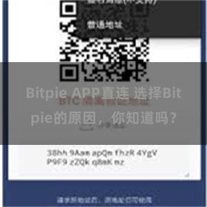 Bitpie APP直连 选择Bitpie的原因，你知道吗？