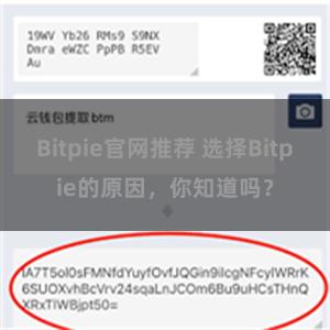 Bitpie官网推荐 选择Bitpie的原因，你知道吗？