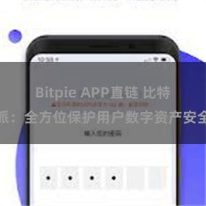 Bitpie APP直链 比特派：全方位保护用户数字资产安全