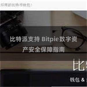 比特派支持 Bitpie数字资产安全保障指南