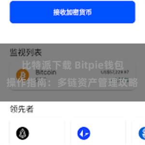 比特派下载 Bitpie钱包操作指南：多链资产管理攻略