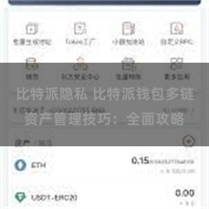 比特派隐私 比特派钱包多链资产管理技巧：全面攻略