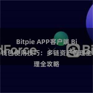 Bitpie APP客户端 Bitpie钱包使用技巧：多链资产管理全攻略