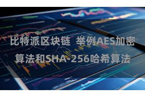 比特派区块链  举例AES加密算法和SHA-256哈希算法