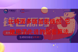 比特派多链加密钱包  它使用了先进的加密算法