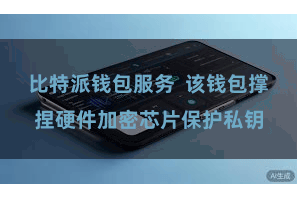 比特派钱包服务  该钱包撑捏硬件加密芯片保护私钥