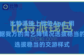 比特派链上钱包App  用户不错证据我方的需乞降情况选拔稳当的交游样式