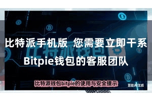 比特派手机版  您需要立即干系Bitpie钱包的客服团队
