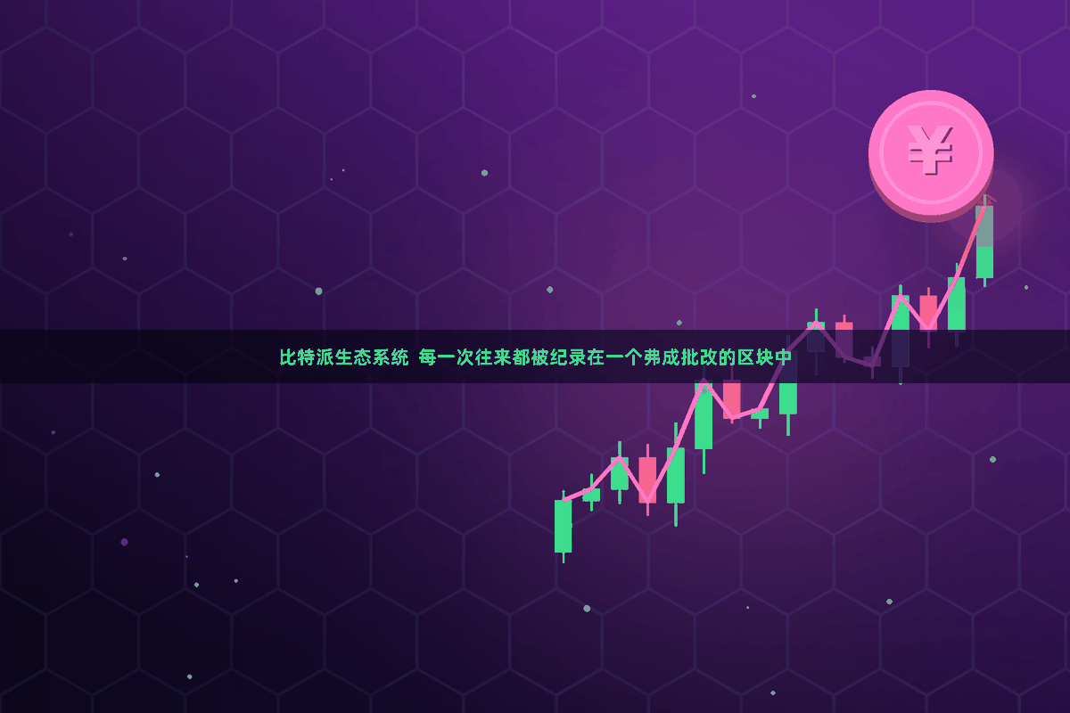 比特派生态系统  每一次往来都被纪录在一个弗成批改的区块中